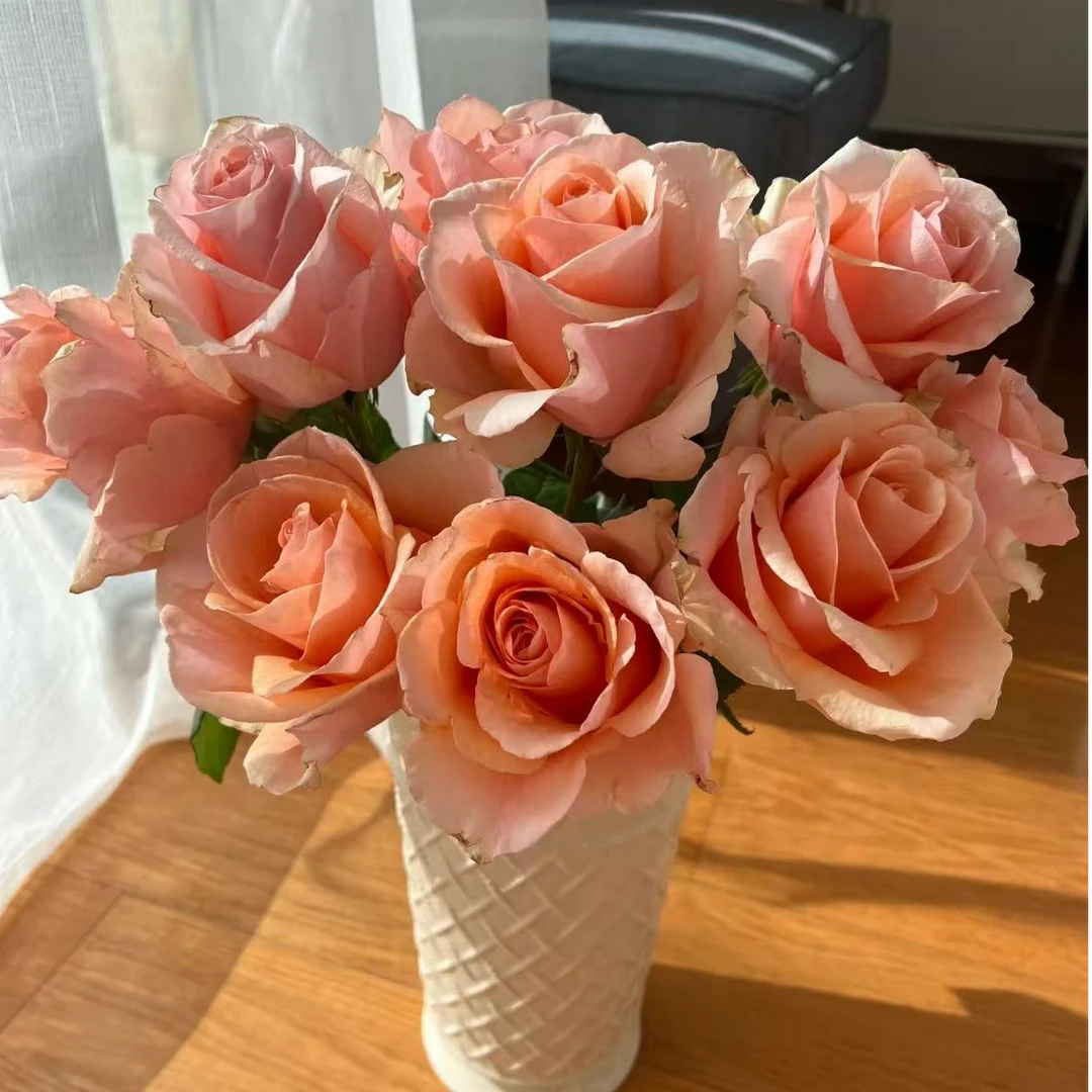 娜美玫瑰【两单及以上升级顺丰】云南鲜花  家庭插花