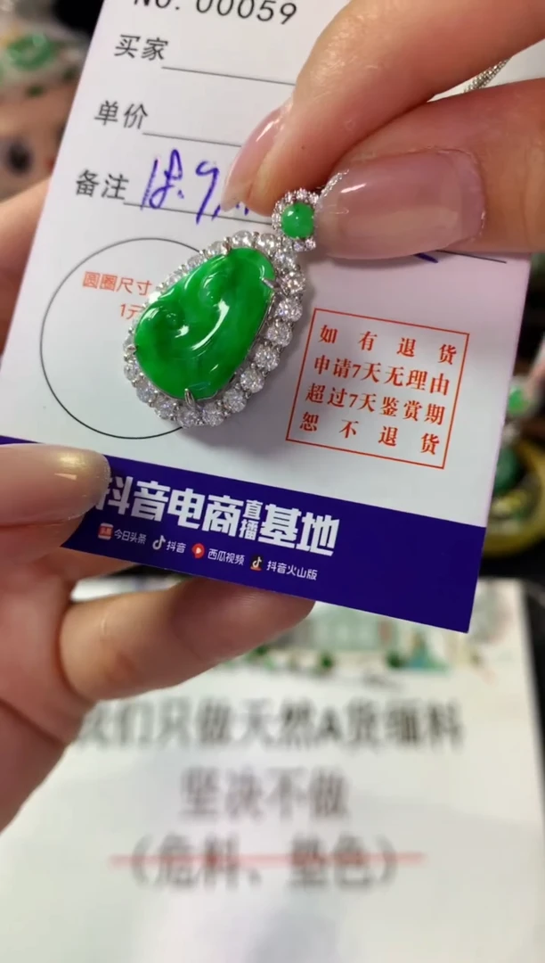 翡翠银S925镶嵌颈饰翡翠