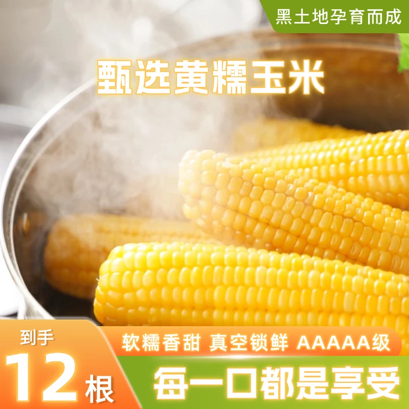 【整箱到手7.5斤以上】甄选黄糯玉米甜糯真空锁鲜优选【试吃两根】