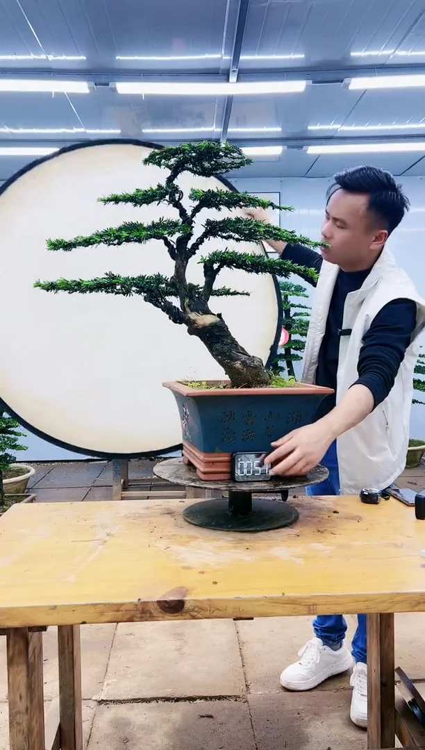 过*龙0000000000000000