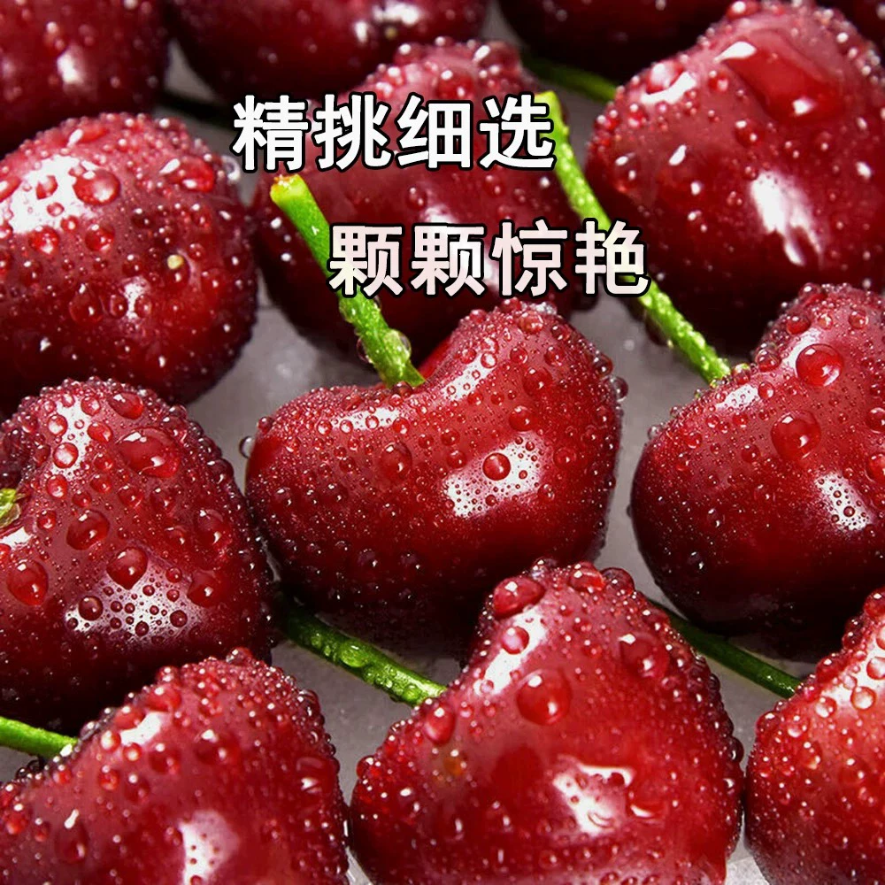 天津蓟州美早大樱桃4-6J【500g】现摘现发美早樱桃