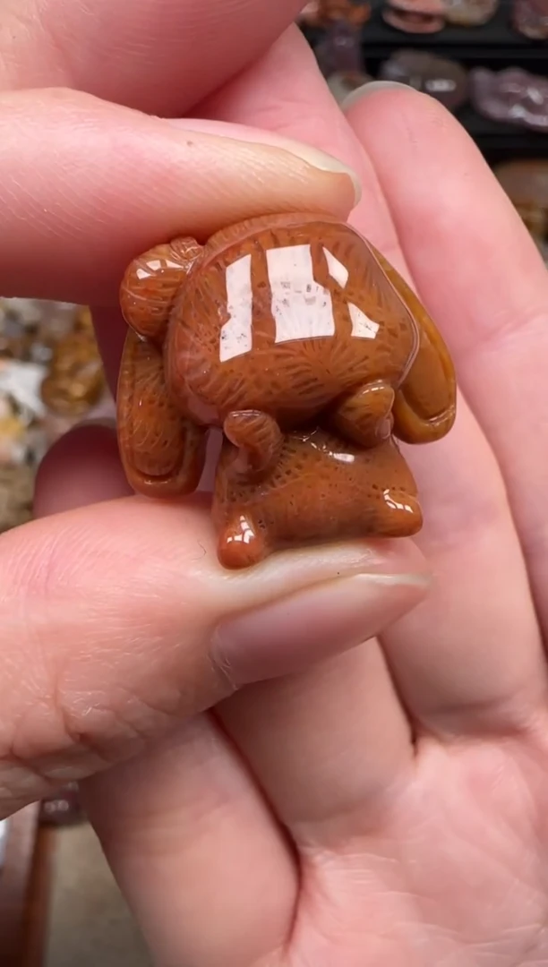 颈饰未镶嵌硅化珊瑚（珊瑚玉）155