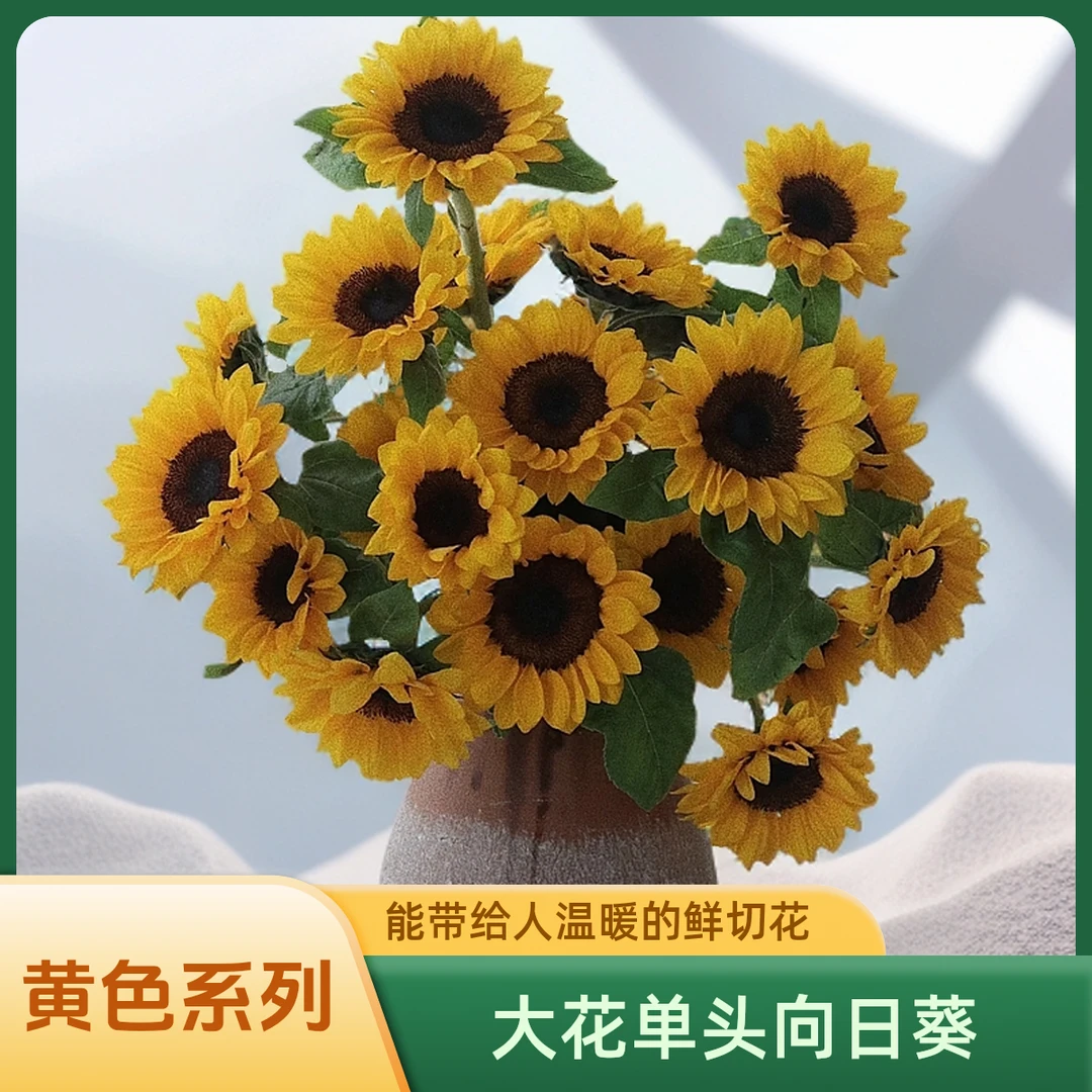 【AAA级单头向日葵】小太阳一样的存在，给大家来带鲜花温暖的力量