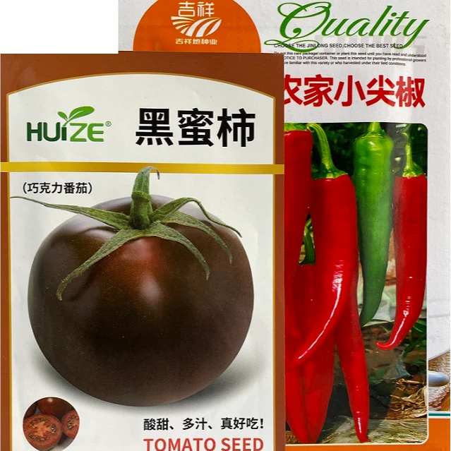 黑蜜柿种子赠送农家小辣椒巧克力番茄水果型酸甜多汁口感好