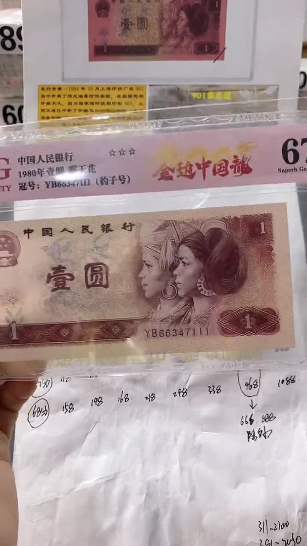 801金边中国龙豹子1