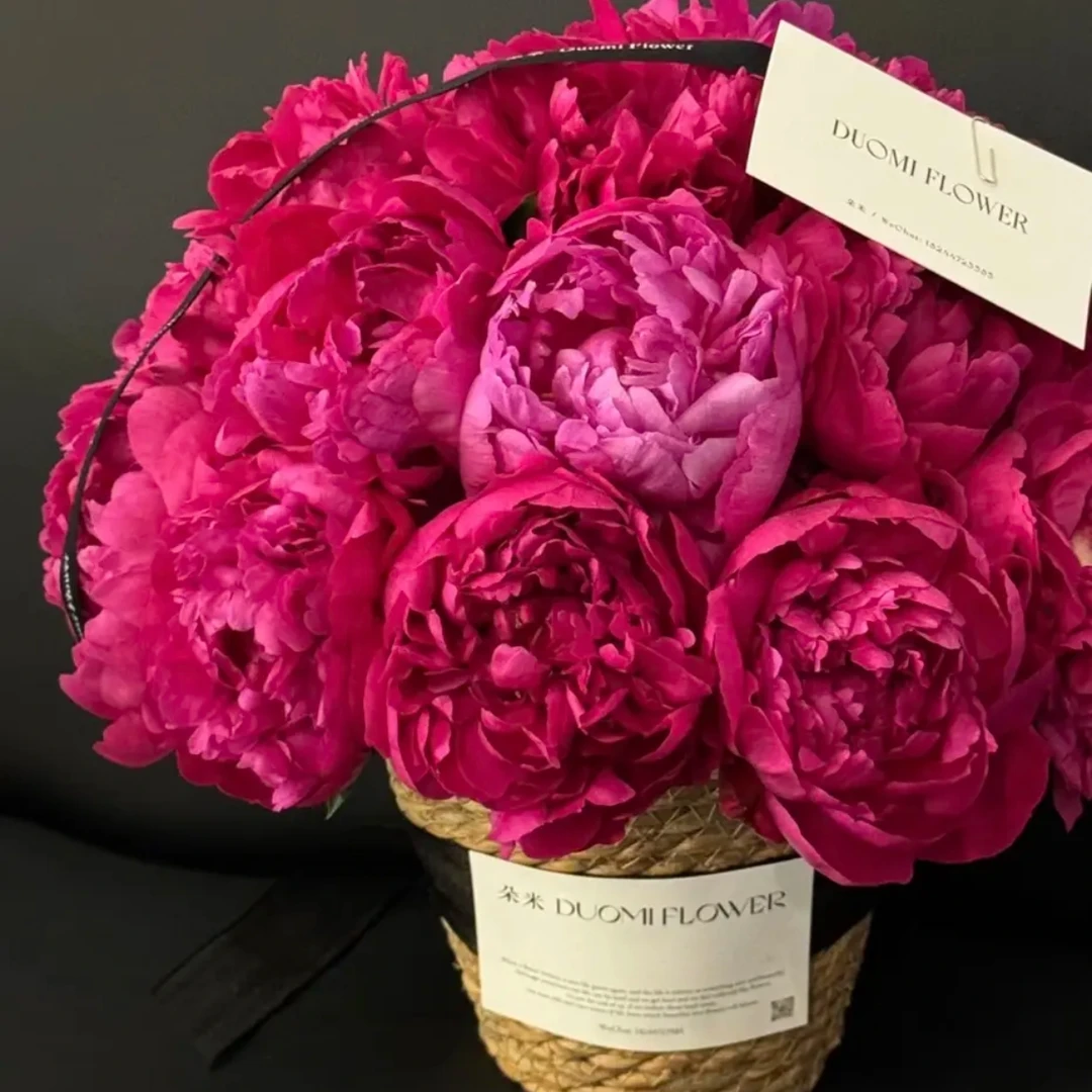 【名品芍药·罗马女神】高贵典雅 爱你是最大的幸福