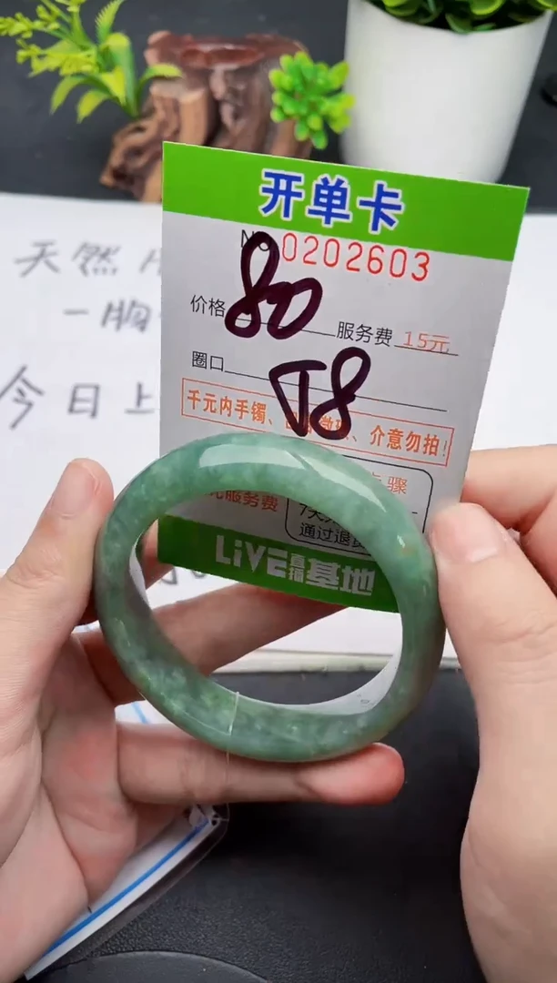 未镶嵌手镯翡翠03天然翡翠A货