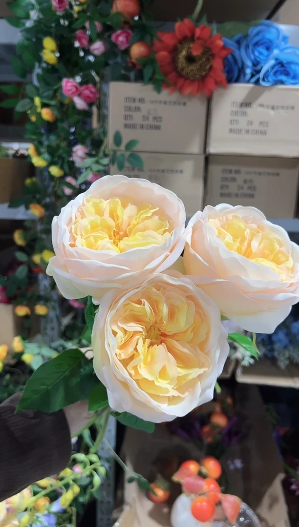 3枝香槟色中号手感保湿朱丽叶