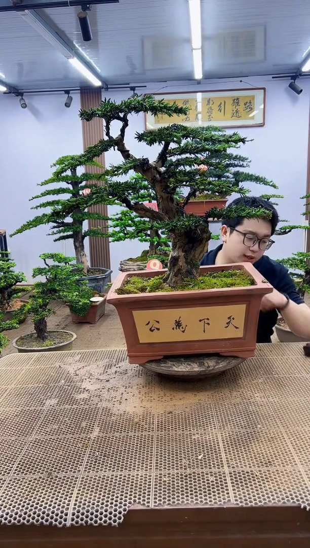 一物一拍，所见即所得