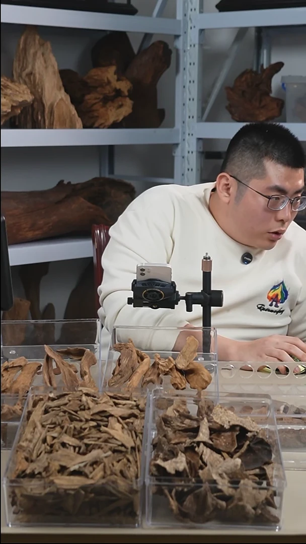 【闪购商品】沉香沉香碎屑李胖胖海南土城76g