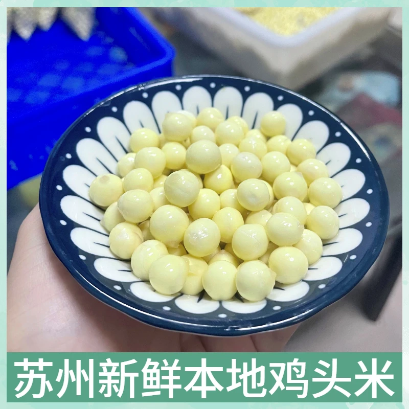 【纯手剥苏州鸡头米】正宗苏州手剥鸡头米新鲜苏芡软糯Q弹