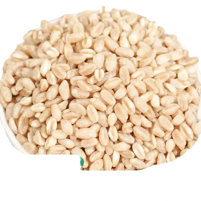 当季新货新麦仁新鲜小麦仁无皮优质脱壳带胚芽煮粥饭五谷杂粮
