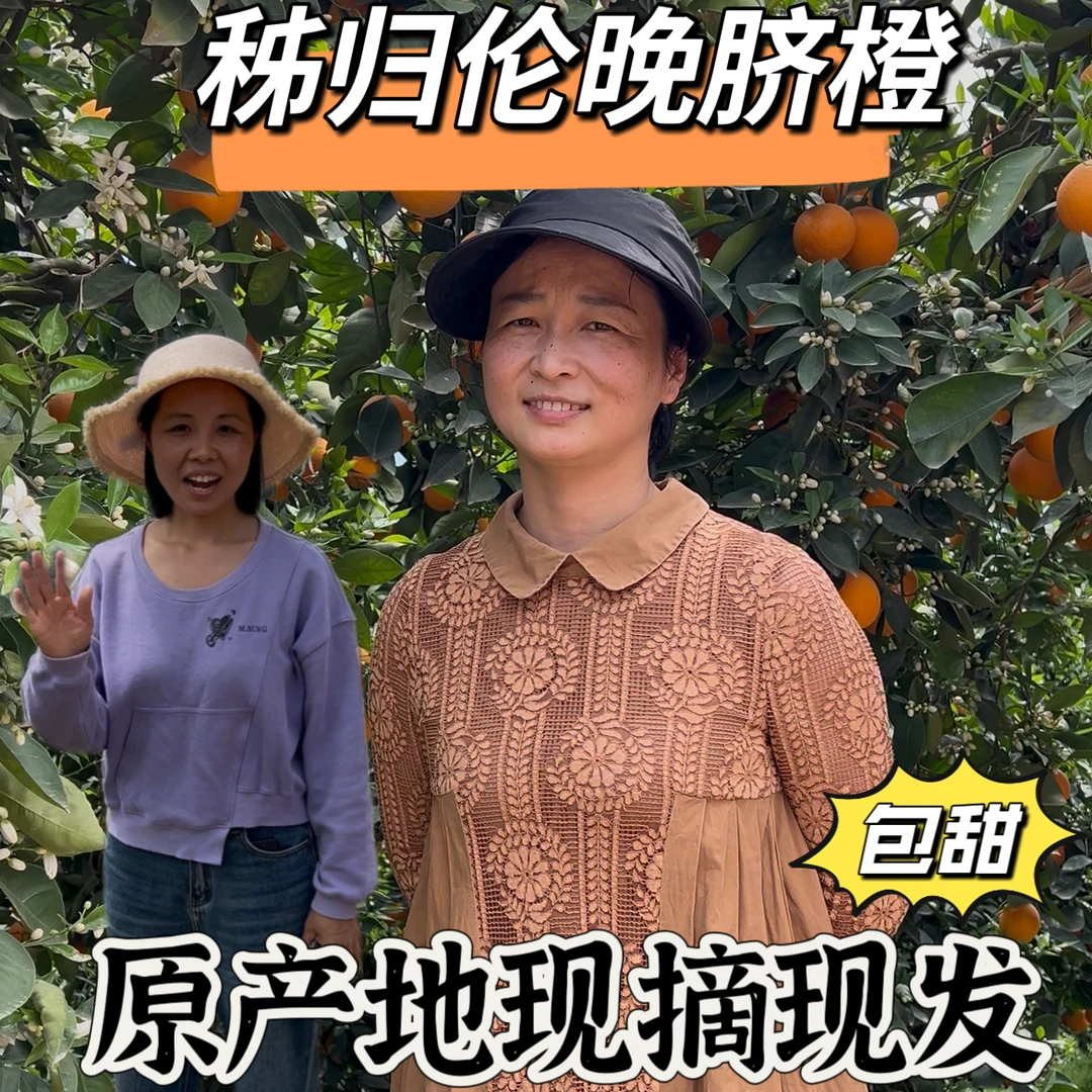 【坏果包赔】秭归伦晚脐橙春橙水果新鲜产地直发香甜多汁口感纯正