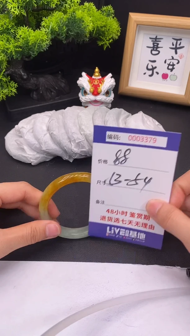 未镶嵌手镯翡翠0003379