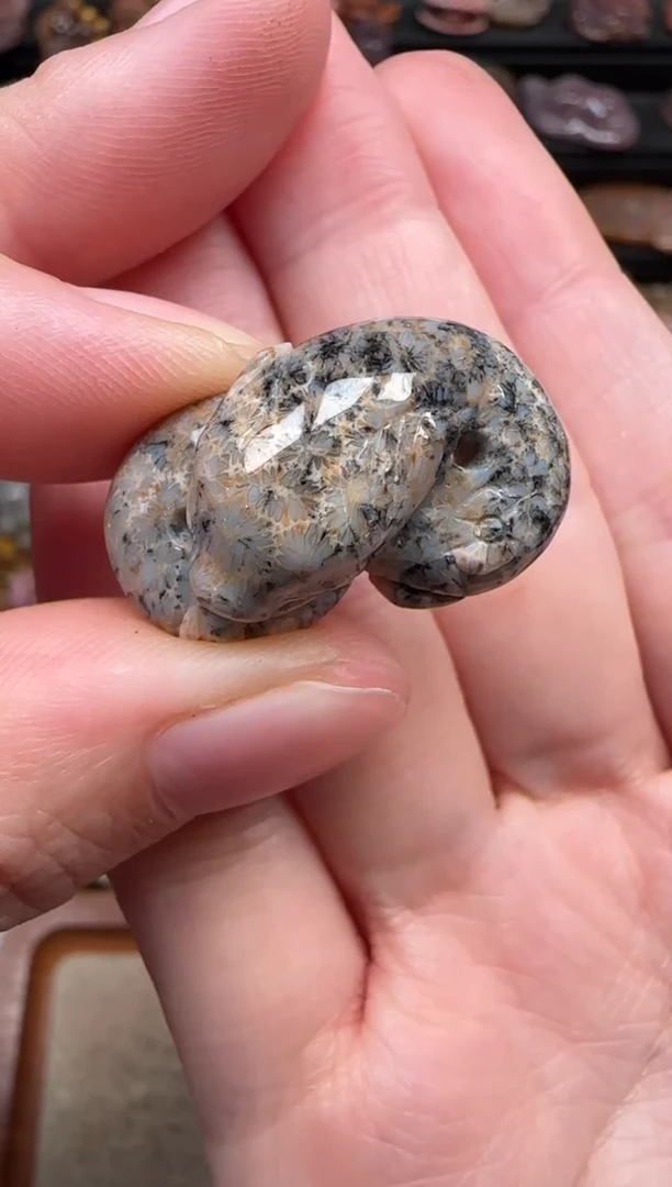 颈饰未镶嵌硅化珊瑚（珊瑚玉）793