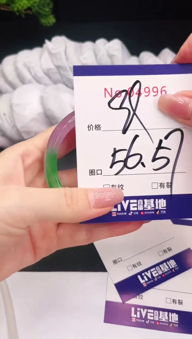 未镶嵌手镯翡翠4996