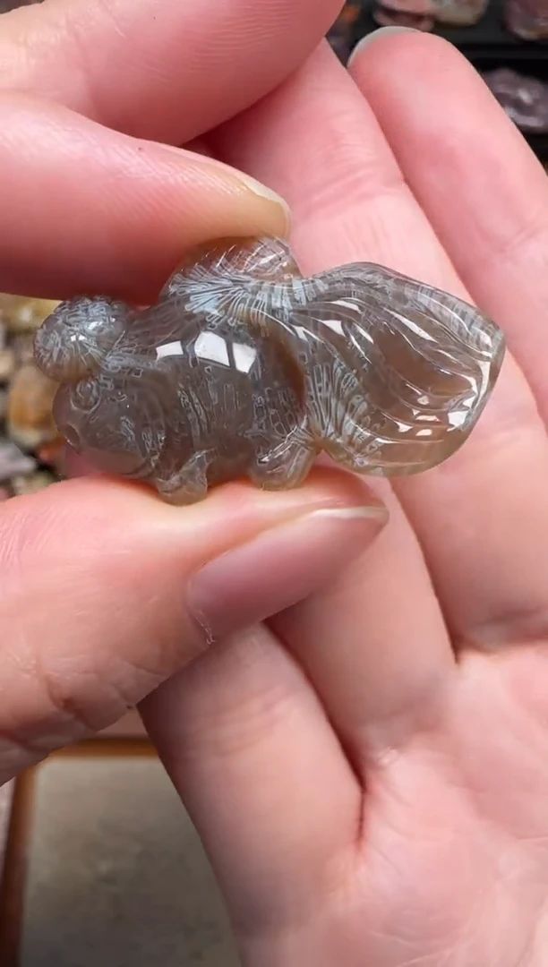 颈饰未镶嵌硅化珊瑚（珊瑚玉）667