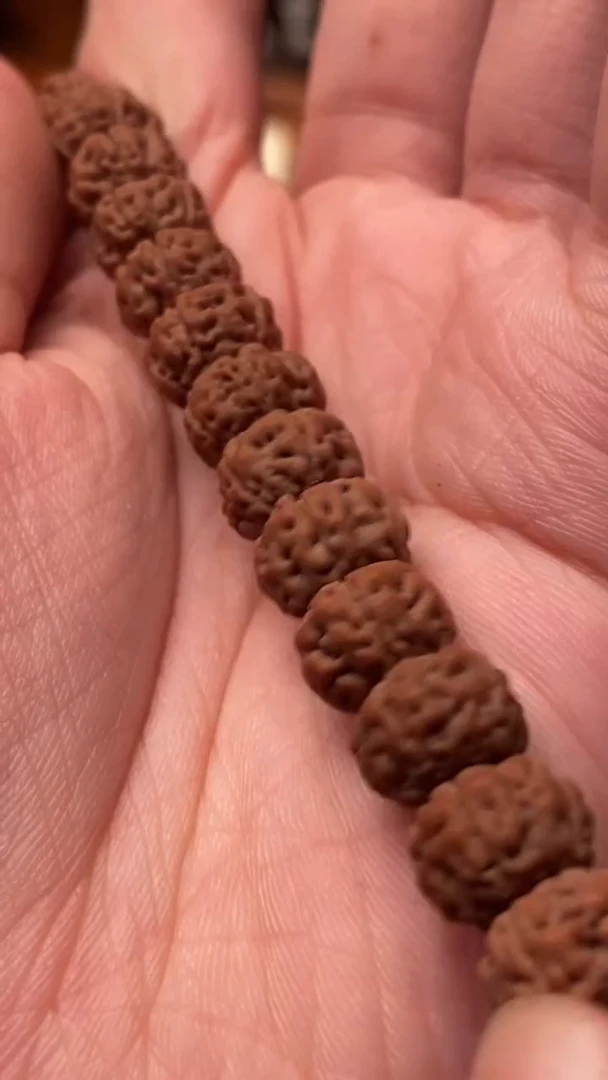 吊坠金刚菩提勿里达纯血老树王手持