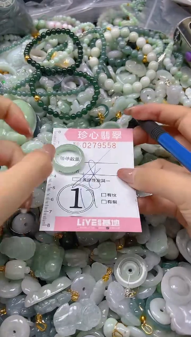 翡翠未镶嵌颈饰闪购0279558多样性发其一