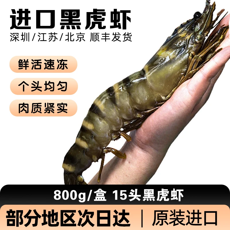 超大黑虎虾鲜活速冻虾 活冻大虾进口老虎虾