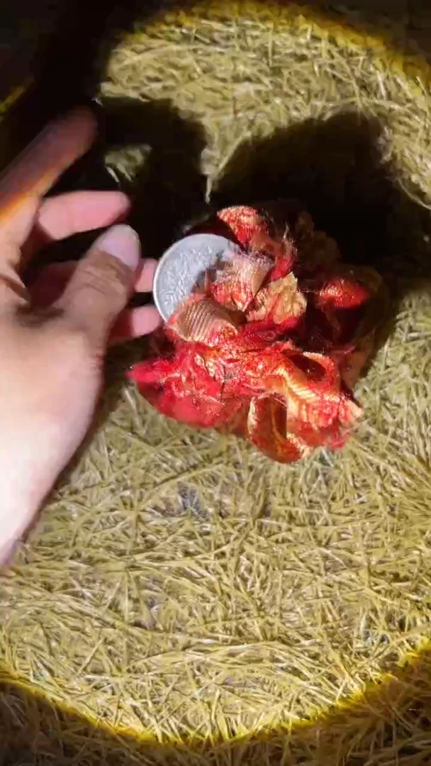 琪琪姐专属专属专属