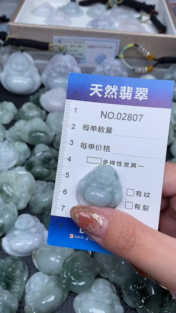 颈饰未镶嵌翡翠纯天然A货翡翠2807