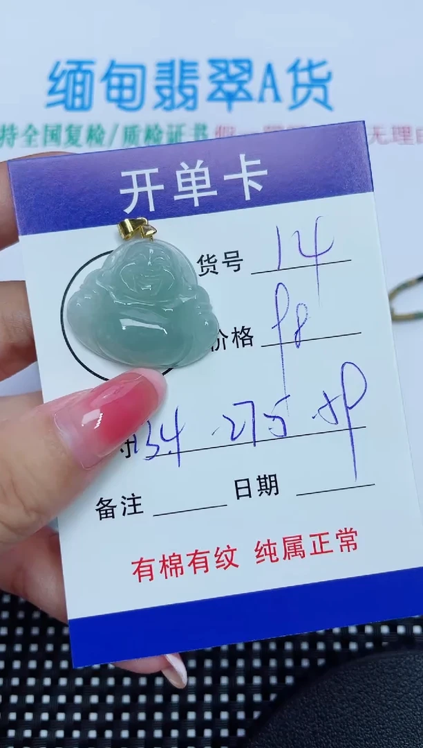 翡翠未镶嵌吊坠(赠链)14