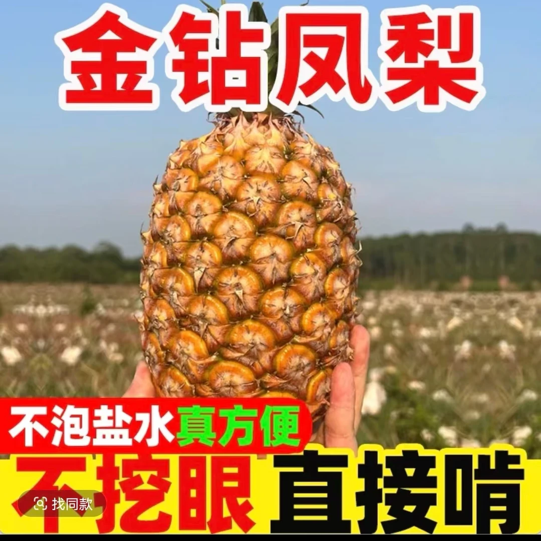海南热带水果 孕妇水果  金砖凤梨爆甜多汁（霞姐推荐）