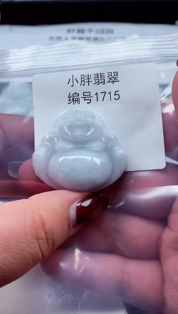 颈饰未镶嵌翡翠缅甸天然A货翡翠1717