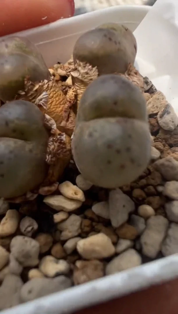 120。。。。。。。。。。。。。。