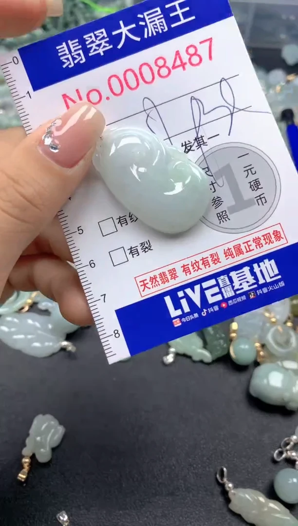 颈饰未镶嵌翡翠8487