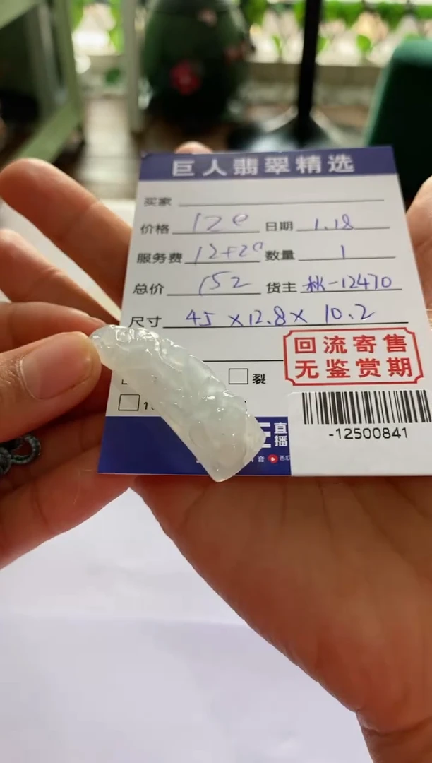 【闪购商品】翡翠颈饰未镶嵌多人-12500841