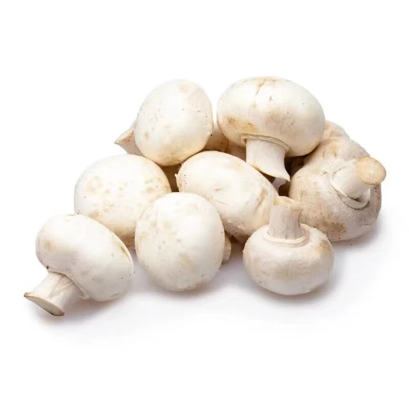 白蘑菇  250g/盒