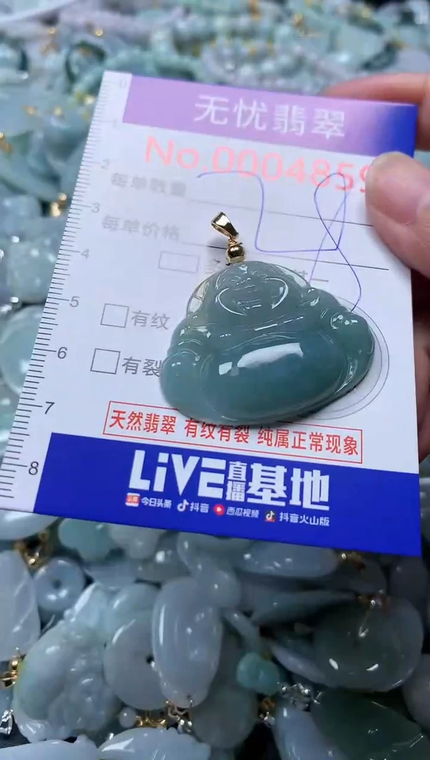 翡翠未镶嵌吊坠(不含链)4859