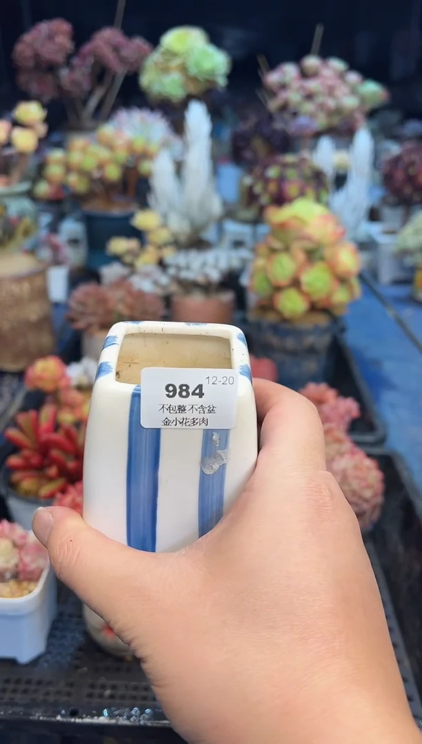 【闪购商品】984花瓶