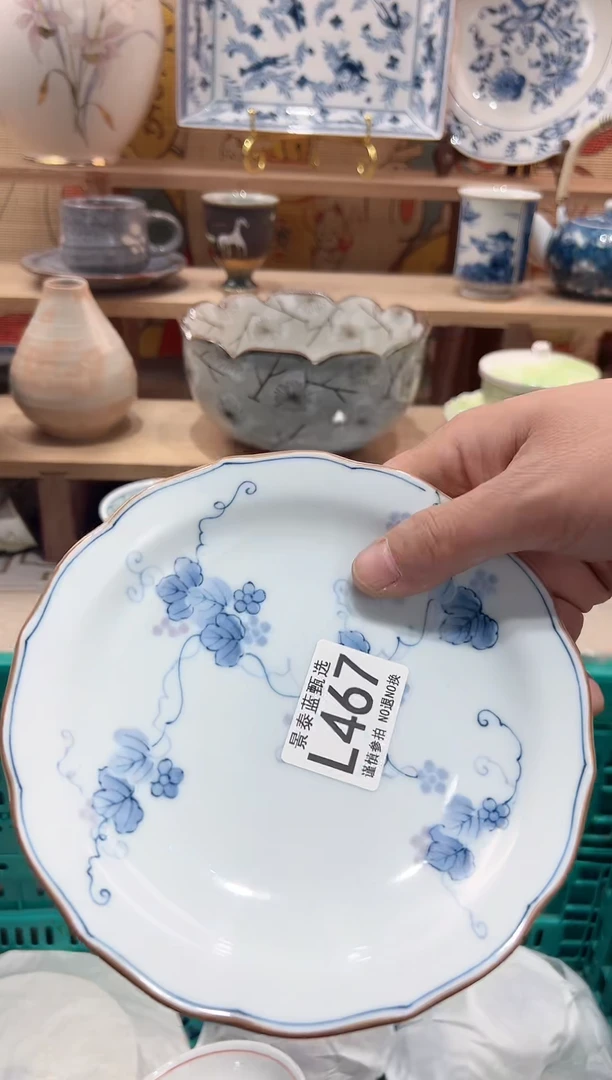 【闪购商品】瓷片当天凑满25米包邮L467