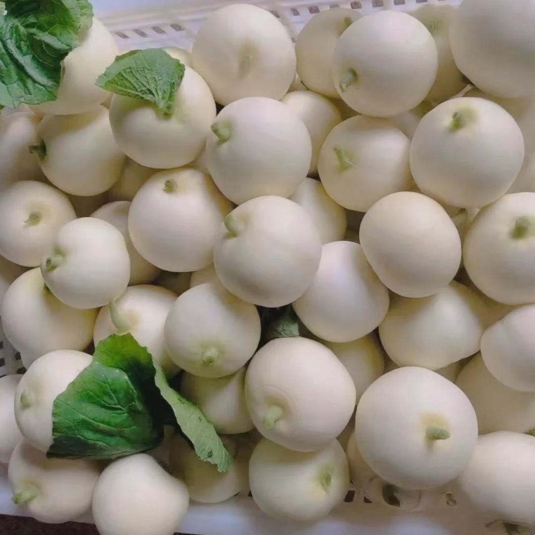 019全州枧塘香瓜