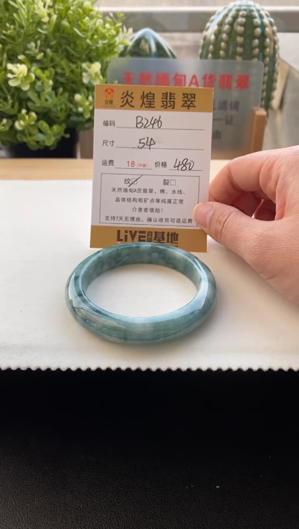 未镶嵌手镯翡翠圈口54编码B246