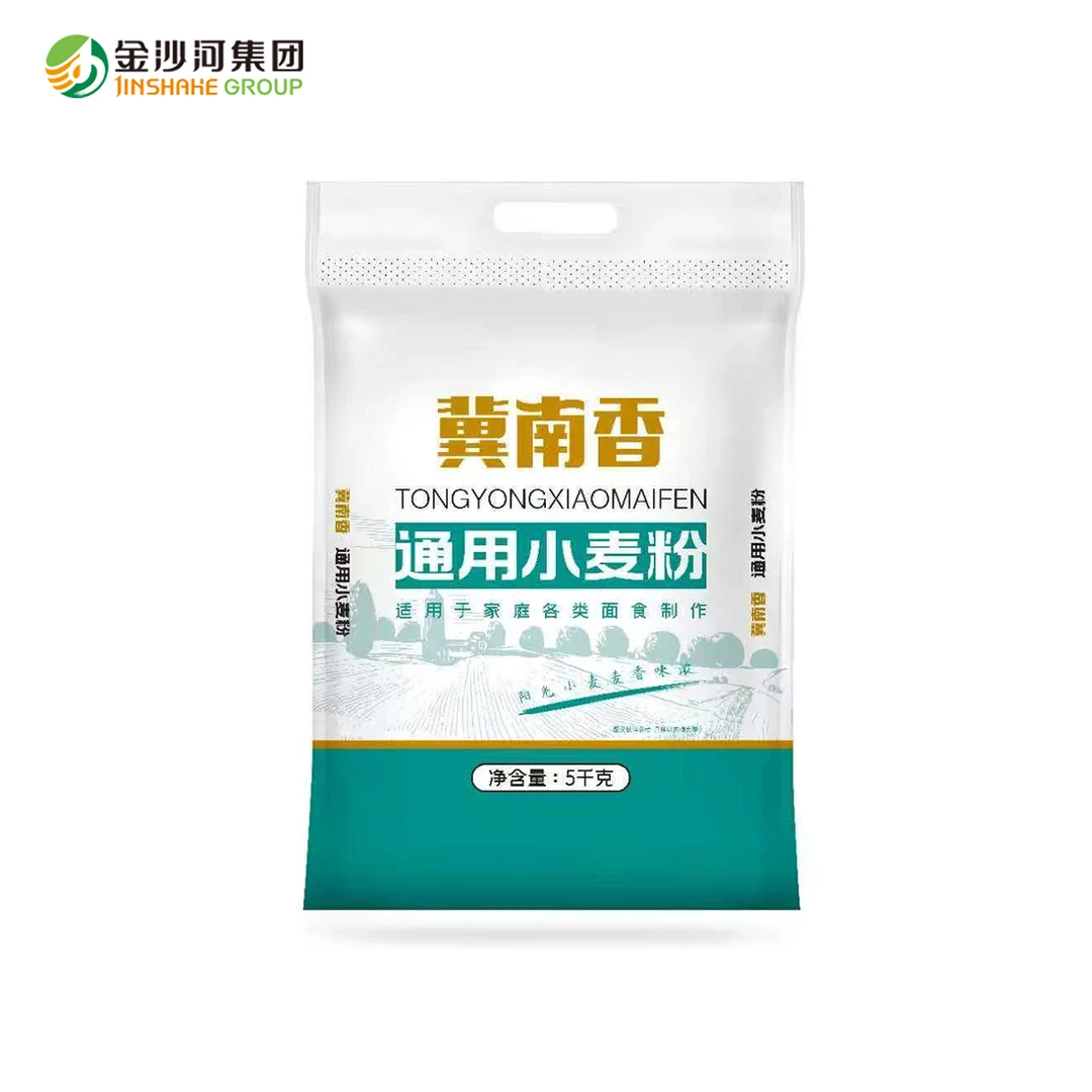 【聚发财-与你有关】面粉10斤小袋小麦粉水饺家用专用中筋