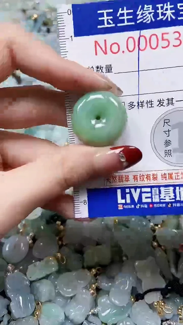 【闪购商品】翡翠颈饰未镶嵌闪购00005392