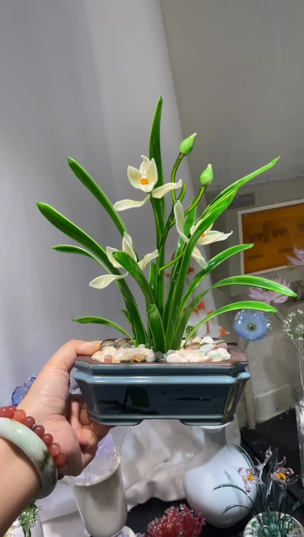 琉璃22兰花