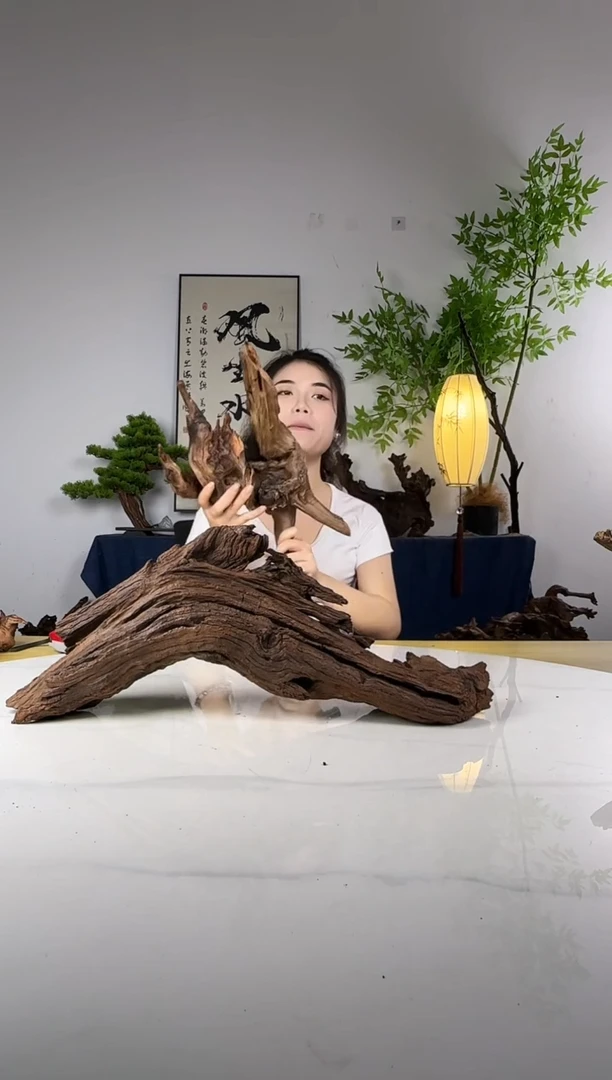 P****n拍这个定向编号27