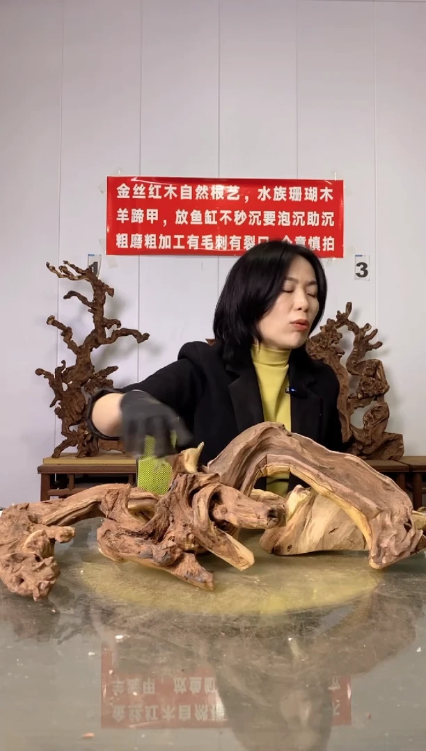 【闪购商品】木20金丝红木 羊蹄甲