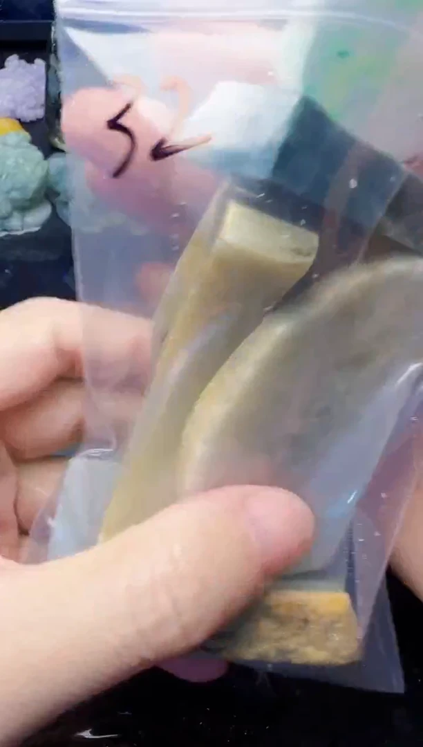 颈饰未镶嵌翡翠周*林32