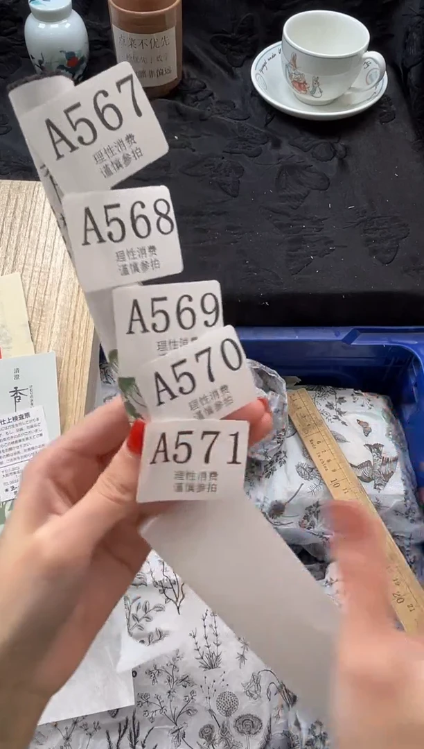 瓷片       A569
