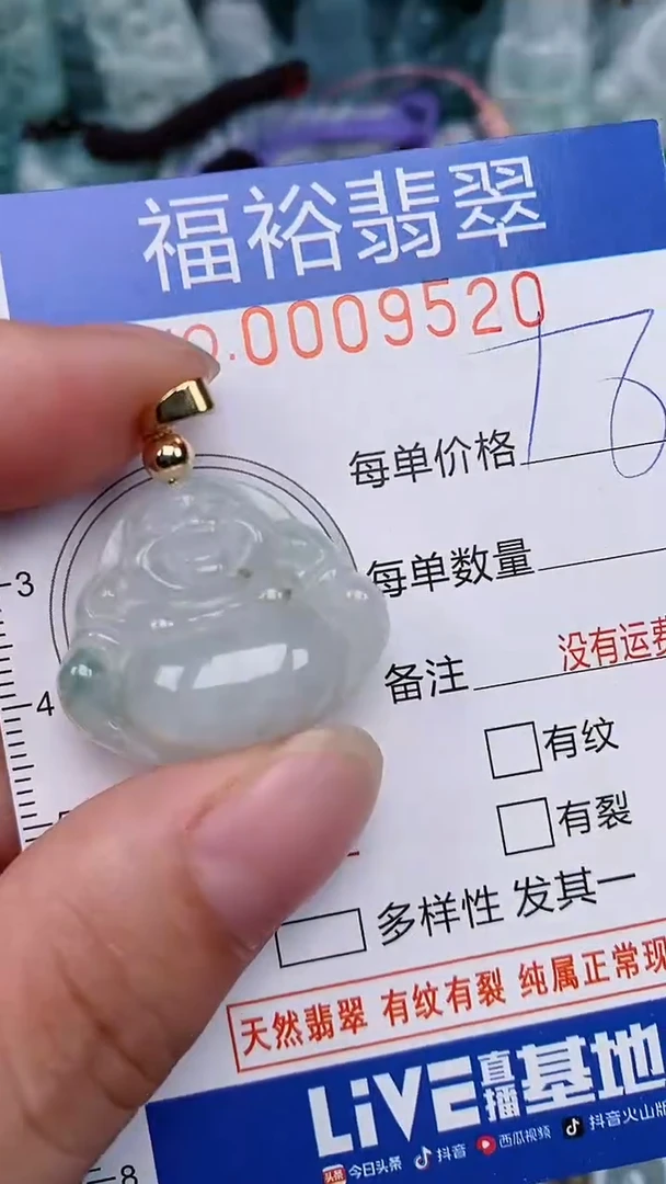 翡翠未镶嵌颈饰...0009520