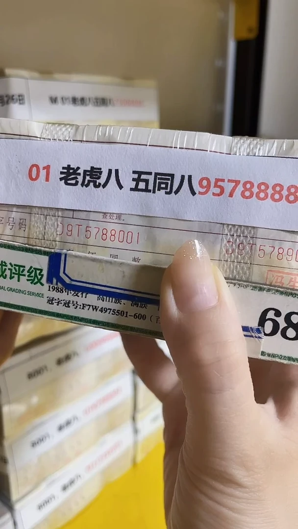 M  01 老虎八 五同八95788888