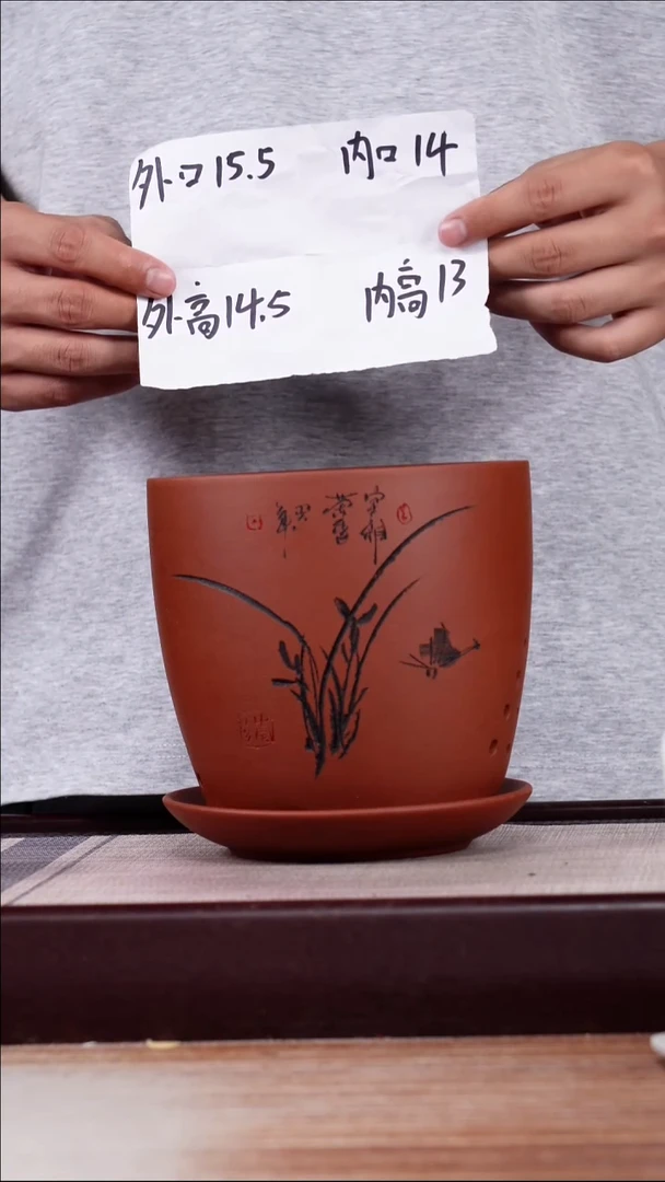 紫砂花盆清水泥君子兰2号一只带托