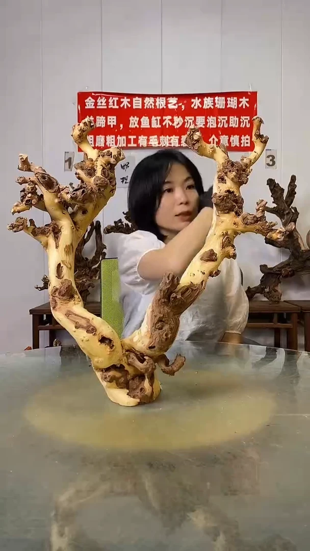 香榧木名****）金丝红木   羊蹄甲