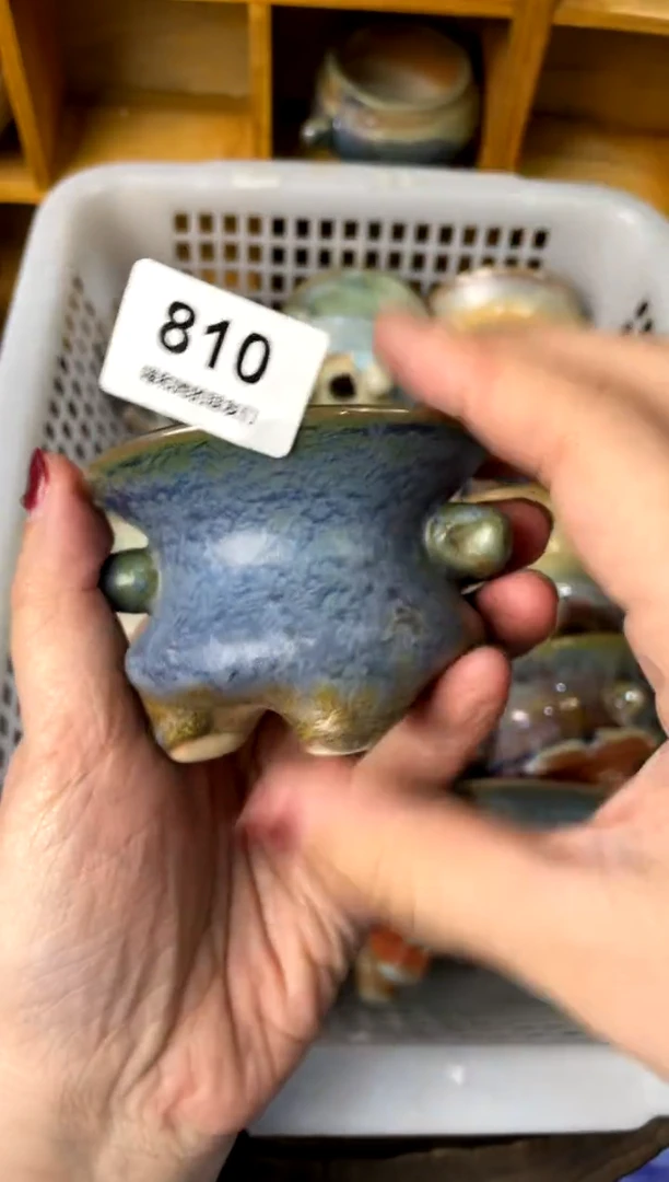 【闪购商品】陶810